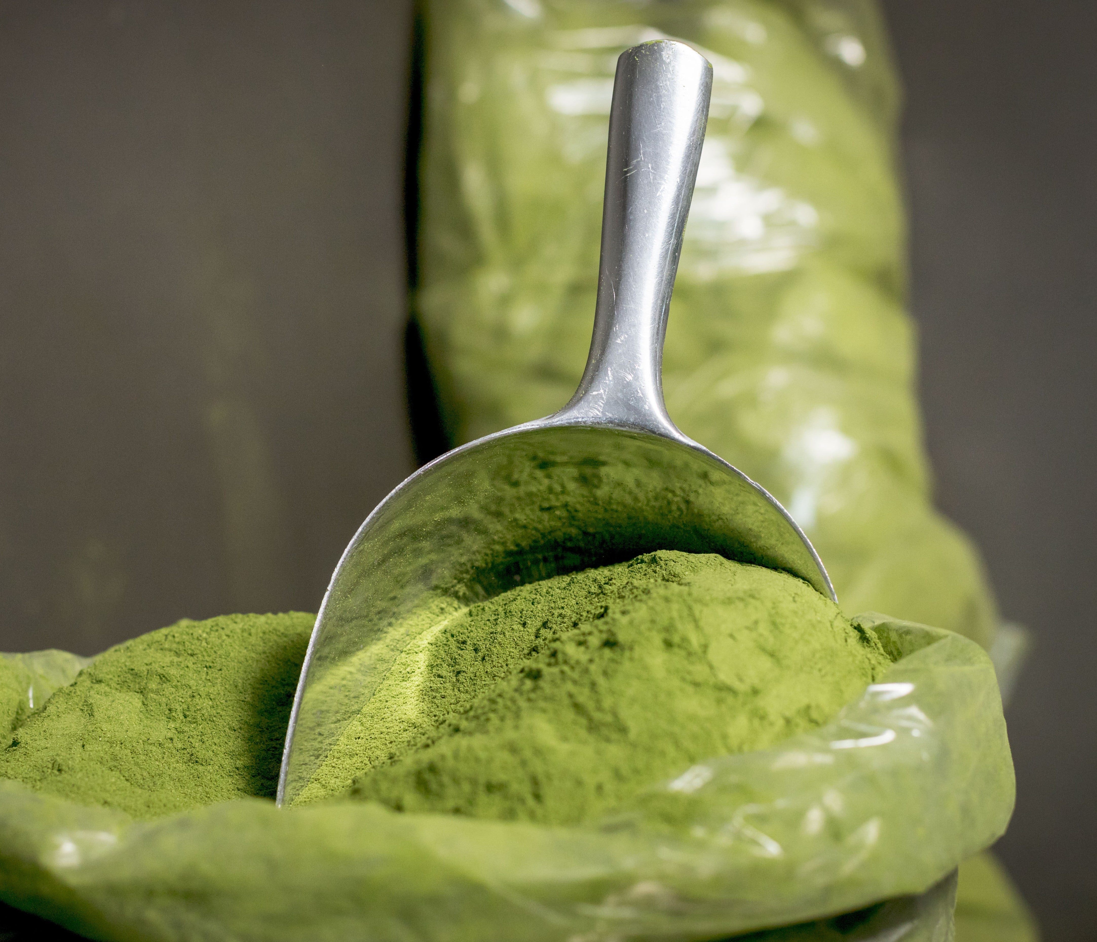 Moringa hotsell powder bulk